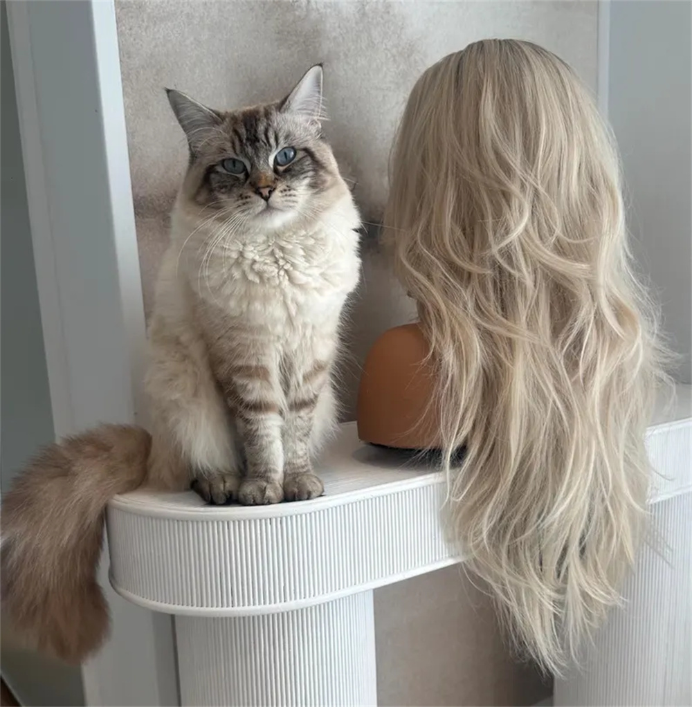 Светлый многослойный волнистый – обзор и цена Hair Care Wavy Hair